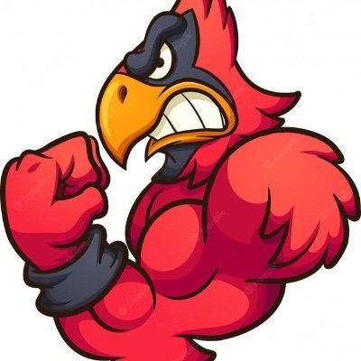 Logo de los red bird