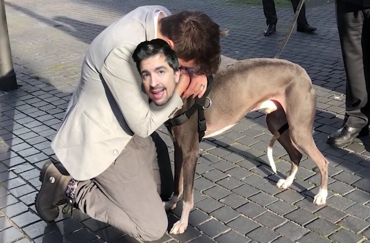 Entrevista con el perro de Dalas Review