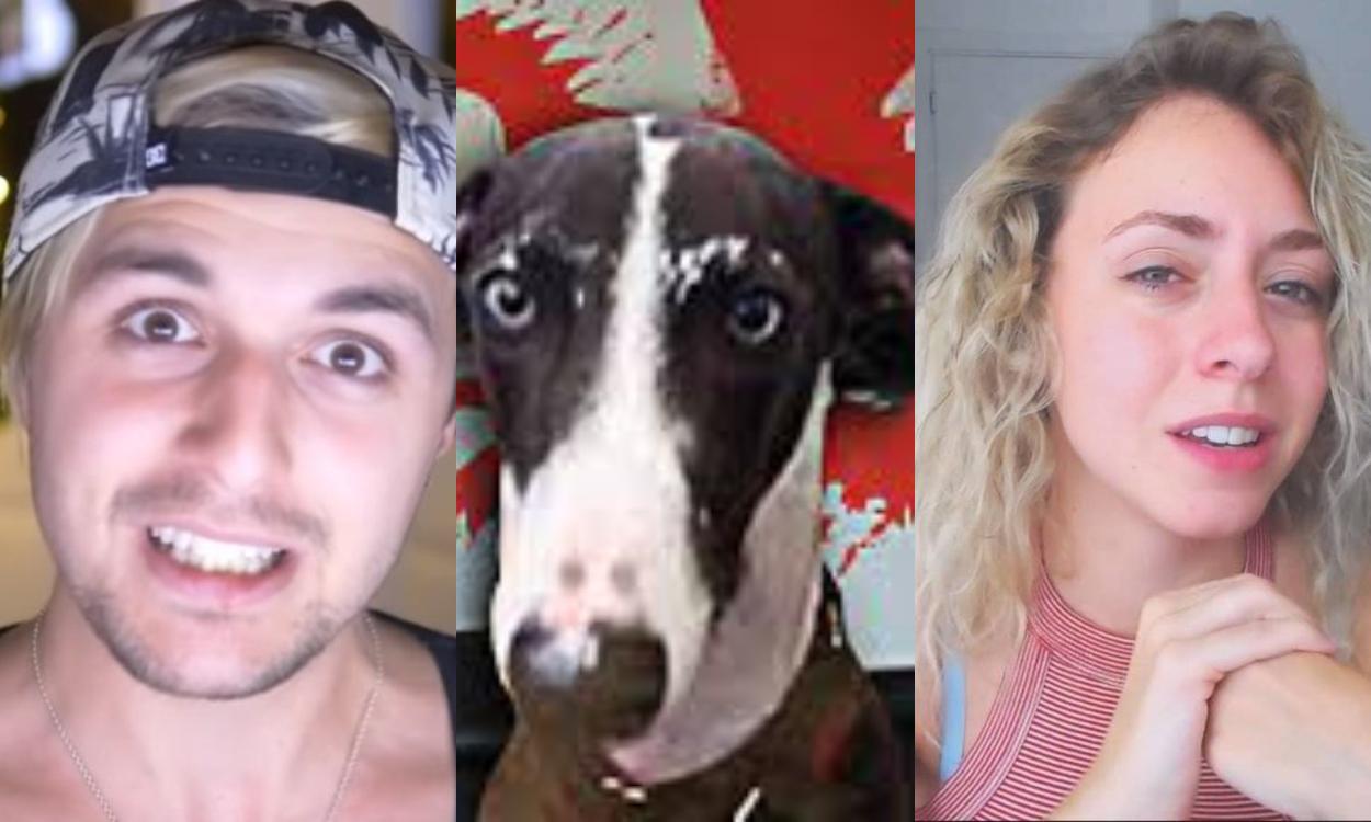 Dalas Miare y el perro