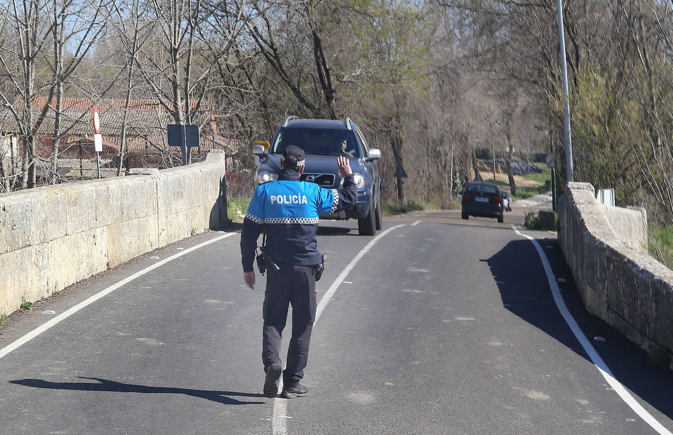Polimonte!