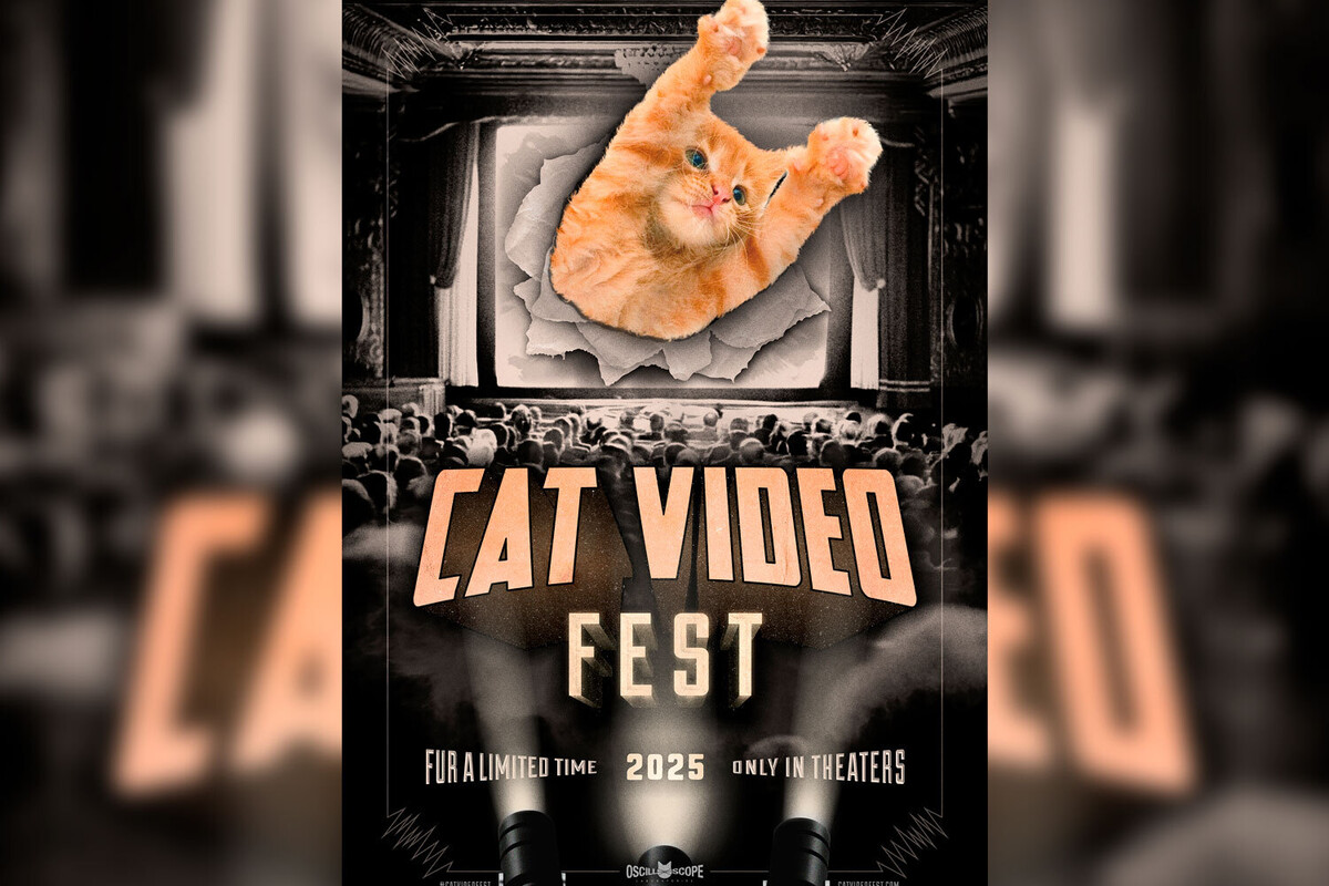 Cat Video Fest