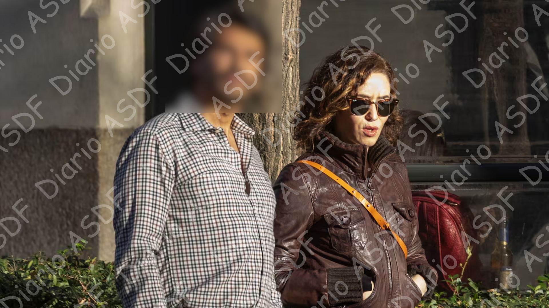 Ayuso y el borron de su pareja